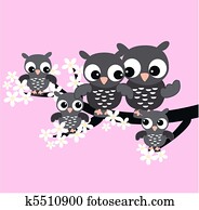 owl family owl family