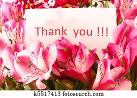 `Thank you` `Thank you`