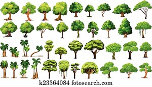 Tree set Tree set