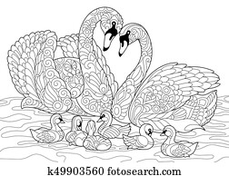 Zentangle stylized swan birds family