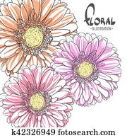 Bright gerbera on a white background