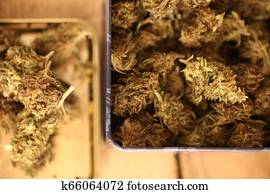 konope, záležitosť, concept., lekársky, marihuana, konope, a, olej