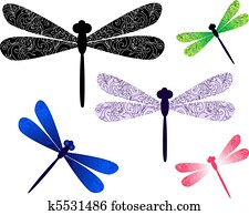 dragonfly dragonfly