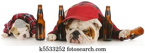drunk dogs drunk dogs