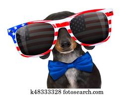 independence day 4th of july dog independence day 4th of july dog