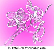Roses Roses