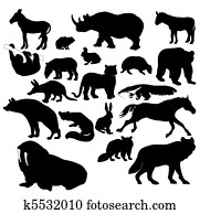 Wildlife Wildlife
