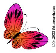 beautiful butterfly beautiful butterfly