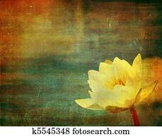 grunge floral background with space for text or image grunge floral background with space for text or image