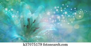 Sparkling Lilly Banner Sparkling Lilly Banner