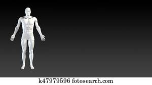 Body System Body System