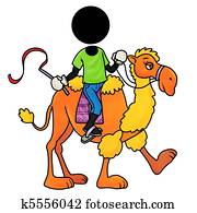camel rider camel rider
