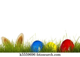 three easter eggs in grass with ears from a easter bunny in background on white three easter eggs in grass with ears from a easter bunny in background on white