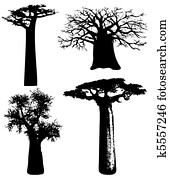 trees of Africa - vector trees of Africa - vector
