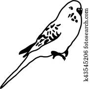 セキセイインコ あるいは インコ クリップアート 切り張り イラスト 絵画 集 K5824230 Fotosearch