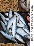 fresh fish at a fish market