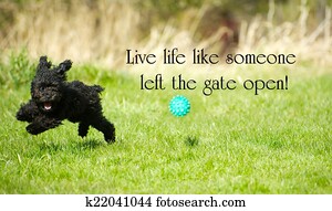 של השראה, מילים, 