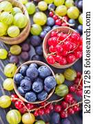 berries berries