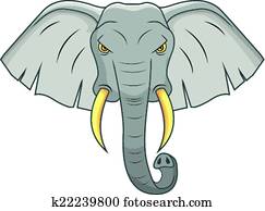 elephant elephant