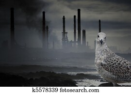 Pollution Pollution