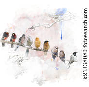 Watercolor Image Of Perching Birds Watercolor Image Of Perching Birds