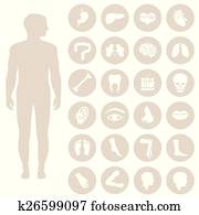 body parts body parts