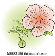 flower flower
