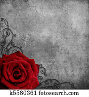  grunge texture  with red Rose