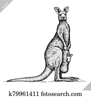 black and white engrave isolated kangaroo vector illustration black and white engrave isolated kangaroo vector illustration