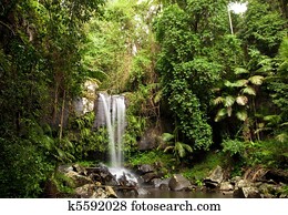 Rainforest Waterfall