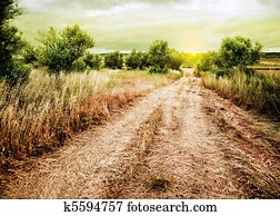 Sunset rural landscape