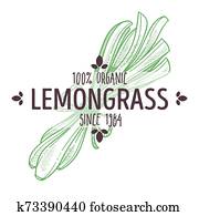 Herbal tea ingredient, lemongrass isolated icon with lettering Herbal tea ingredient, lemongrass isolated icon with lettering