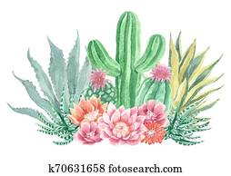 Watercolor Cactus and Succulents Watercolor Cactus and Succulents