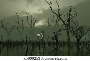 Will O' The Wisp in a misty swamp Will O' The Wisp in a misty swamp