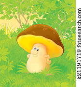 面白い きのこ イラスト K Fotosearch