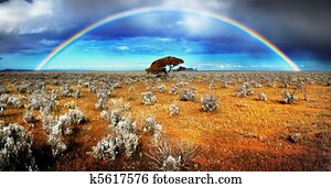 Rainbow Desert Rainbow Desert