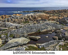 rugged Fogo Island coastline