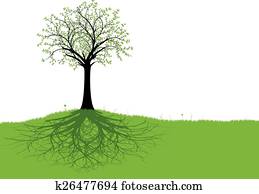 Vector Tree and Roots Vector Tree and Roots
