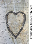 carved aspen heart