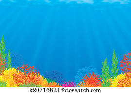Coral reef Coral reef