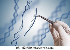 engenharia genética, gmo, e, gene, manipulação, concept., mão, é