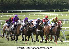 Horse Racing Horse Racing