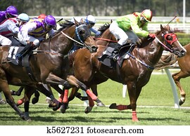 Horse Racing Horse Racing