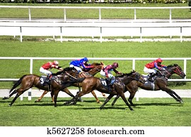Horse Racing Horse Racing