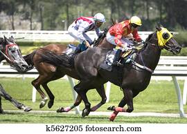 Horse Racing Horse Racing