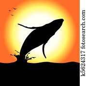 Humpback Whale Jumping Humpback Whale Jumping