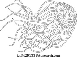 Jellyfish Jellyfish