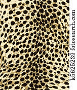 leopard fashion animal skin print leopard fashion animal skin print