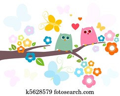 owls owls