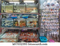 Ladies' Market on Tung Choi Street, Mong Kok, Hong Kong Stock Photo